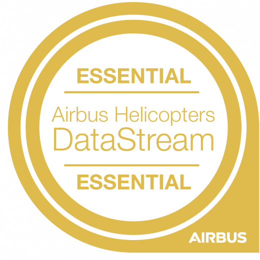DataStream Essential